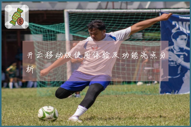 开云移动版使用体验及功能亮点分析
