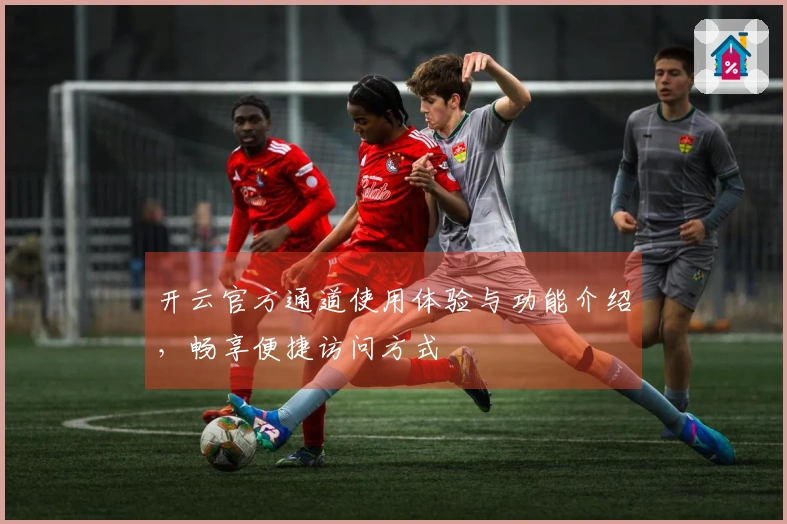 开云官方通道使用体验与功能介绍,畅享便捷访问方式